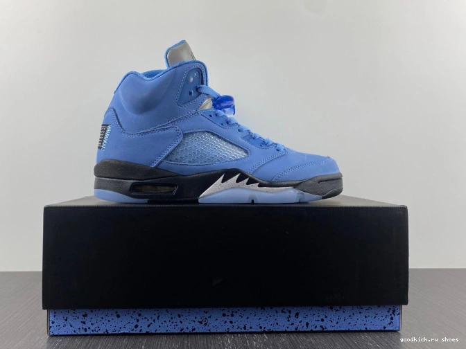 5 UNC DV1310-401 Air Jordan 0807